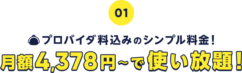 月額4,378円で使い放題！